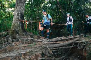 BIB: 
                            <button type="button" onclick="openModal(27755841)" class="btn btn-primary btn-sm float-right btn-popup" data-toggle="modal" data-target=".modal-high-quality">
                        <i class="fas fa-shopping-cart"></i> Add to Cart
                    </button>
                                            <button type="button" onclick="isThisMe(27755841, true)" class="btn btn-success btn-sm float-right btn-popup btn-isme hidden" data-toggle="tooltip" data-placement="bottom" title="นี่คือรูปของคุณใช่ไหม คลิกที่นี่เพื่อเอาเข้าอัลบั้ม">
                        <i class="fas fa-plus"></i> Add to album
                    </button>
                    <button type="button" onclick="isThisMe(27755841, false)" class="btn btn-warning btn-sm float-right btn-popup btn-isnotme hidden">
                        <i class="fas fa-ban"></i> Remove from album
                    </button>